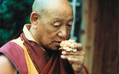 Bốn Pháp của Gampopa- Pháp Thoại- Lopon Tsechu Rinpoche